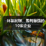 环氧树脂，盈利最强的10家企业（图3）