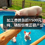 加工费普涨超1500元/吨,磷酸铁锂正极产业链进入新竞争周期(图2) 加工费普涨超1500元/吨,磷酸铁锂正极产业链进入新竞争周期(图2)