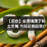 【洞察】金属镨属于稀土金属 市场发展前景广阔(图3) 【洞察】金属镨属于稀土金属 市场发展前景广阔(图3)