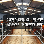 20万的碳酸锂:起点还是终点?下游容忍线在哪?(图1) 20万的碳酸锂:起点还是终点?下游容忍线在哪?(图1)