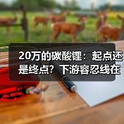 20万的碳酸锂:起点还是终点?下游容忍线在哪?(图3) 20万的碳酸锂:起点还是终点?下游容忍线在哪?(图3)