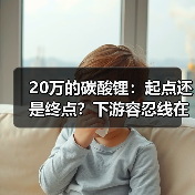 20万的碳酸锂:起点还是终点?下游容忍线在哪?(图4) 20万的碳酸锂:起点还是终点?下游容忍线在哪?(图4)