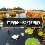 江西铜业这次够拼的(图2) 江西铜业这次够拼的(图2)
