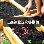江西铜业这次够拼的(图4) 江西铜业这次够拼的(图4)