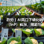 趋势丨AI风口下磷化铟(InP)疯涨,周期与变局将持续演进(图1) 趋势丨AI风口下磷化铟(InP)疯涨,周期与变局将持续演进(图1)