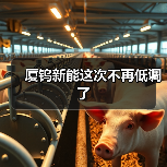 厦钨新能这次不再低调了(图1) 厦钨新能这次不再低调了(图1)