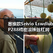 塞维欧Seivio Lswdlub P288精密滚珠丝杠润滑脂类型与应用(图4) 塞维欧Seivio Lswdlub P288精密滚珠丝杠润滑脂类型与应用(图4)