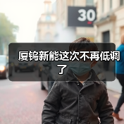 厦钨新能这次不再低调了(图2) 厦钨新能这次不再低调了(图2)