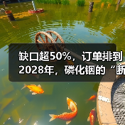 缺口超50%,订单排到2028年,磷化铟的“断供”危机才刚开始(图2) 缺口超50%,订单排到2028年,磷化铟的“断供”危机才刚开始(图2)