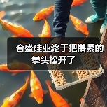 合盛硅业终于把攥紧的拳头松开了(图1) 合盛硅业终于把攥紧的拳头松开了(图1)