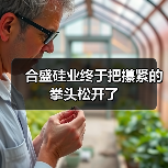 合盛硅业终于把攥紧的拳头松开了(图2) 合盛硅业终于把攥紧的拳头松开了(图2)