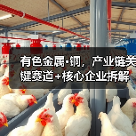 有色金属·铜,产业链关键赛道+核心企业拆解(图2) 有色金属·铜,产业链关键赛道+核心企业拆解(图2)