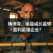 锡焊膏,谁是成长最快+盈利最强企业?(图4) 锡焊膏,谁是成长最快+盈利最强企业?(图4)