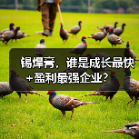 锡焊膏,谁是成长最快+盈利最强企业?(图3) 锡焊膏,谁是成长最快+盈利最强企业?(图3)