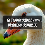 金价冲高大跌超20%，黄金股冰火两重天（图3）
