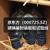 京东方(000725.SZ)玻璃基封装载板试验线通线,AI 芯片核心材料突破(图4) 京东方(000725.SZ)玻璃基封装载板试验线通线,AI 芯片核心材料突破(图4)