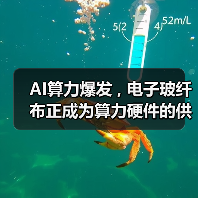 AI算力爆发 , 电子玻纤布正成为算力硬件的供给短板(图1) AI算力爆发 , 电子玻纤布正成为算力硬件的供给短板(图1)