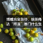 博威合金涨停,给英伟达“降温”是门什么生意?(图4) 博威合金涨停,给英伟达“降温”是门什么生意?(图4)