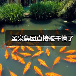 圣泉集团直接被干懵了(图1) 圣泉集团直接被干懵了(图1)