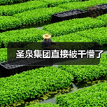 圣泉集团直接被干懵了(图3) 圣泉集团直接被干懵了(图3)