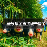 圣泉集团直接被干懵了(图4) 圣泉集团直接被干懵了(图4)