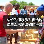 钴价为何暴涨?供给收紧与需求激增如何推高?(图2) 钴价为何暴涨?供给收紧与需求激增如何推高?(图2)