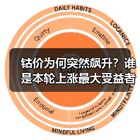 钴价为何突然飙升?谁是本轮上涨最大受益者?(图4) 钴价为何突然飙升?谁是本轮上涨最大受益者?(图4)