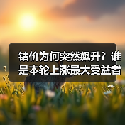 钴价为何突然飙升?谁是本轮上涨最大受益者?(图3) 钴价为何突然飙升?谁是本轮上涨最大受益者?(图3)