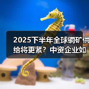 2025下半年全球铜矿供给将更紧?中资企业如何逆势增长?(图3) 2025下半年全球铜矿供给将更紧?中资企业如何逆势增长?(图3)
