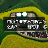 中小企业拿不到投资怎么办？——钱在哪，怎么要，这四步帮你理清楚（图1）