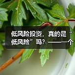 低风险投资，真的是“低风险”吗？——一个颠覆你认知的真相（图2）