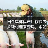 日企集体停产!存储芯片耗材迎来变局,中船特气能抓住机会吗?(图1) 日企集体停产!存储芯片耗材迎来变局,中船特气能抓住机会吗?(图1)