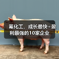 氟化工,成长最快+盈利最强的10家企业(图2) 氟化工,成长最快+盈利最强的10家企业(图2)