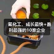 氟化工,成长最快+盈利最强的10家企业(图4) 氟化工,成长最快+盈利最强的10家企业(图4)