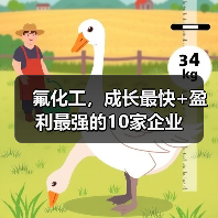 氟化工,成长最快+盈利最强的10家企业(图3) 氟化工,成长最快+盈利最强的10家企业(图3)