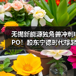 无锡新能源独角兽冲刺IPO!股东宁德时代撑起3/4收入(图1) 无锡新能源独角兽冲刺IPO!股东宁德时代撑起3/4收入(图1)