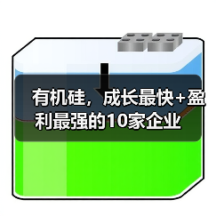 有机硅,成长最快+盈利最强的10家企业(图4) 有机硅,成长最快+盈利最强的10家企业(图4)