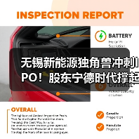 无锡新能源独角兽冲刺IPO!股东宁德时代撑起3/4收入(图3) 无锡新能源独角兽冲刺IPO!股东宁德时代撑起3/4收入(图3)