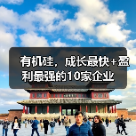 有机硅,成长最快+盈利最强的10家企业(图3) 有机硅,成长最快+盈利最强的10家企业(图3)