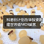 科思创计划在华投资新建世界级MDI装置,并启动阿联酋项目可行性研究(图4) 科思创计划在华投资新建世界级MDI装置,并启动阿联酋项目可行性研究(图4)