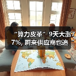 “算力皮革”9天大涨77%, 蔚来供应商也追“光”(图3) “算力皮革”9天大涨77%, 蔚来供应商也追“光”(图3)