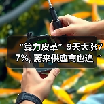 “算力皮革”9天大涨77%, 蔚来供应商也追“光”(图4) “算力皮革”9天大涨77%, 蔚来供应商也追“光”(图4)